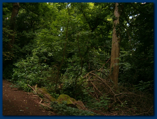 600x449 pixels (166K)